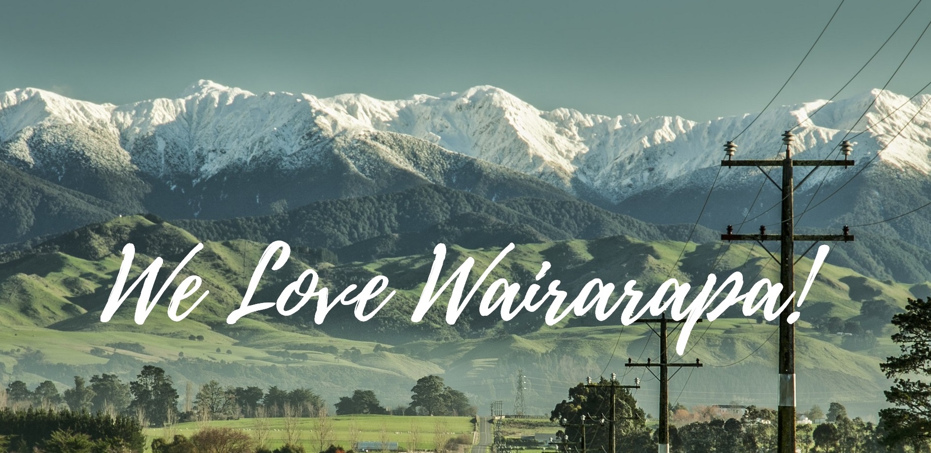 Snowy - We love Wairarapa cropped